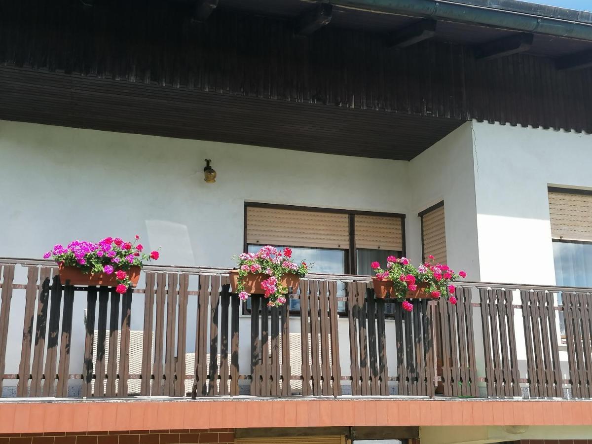 Apartments Novak Ljubno Eksteriør bilde
