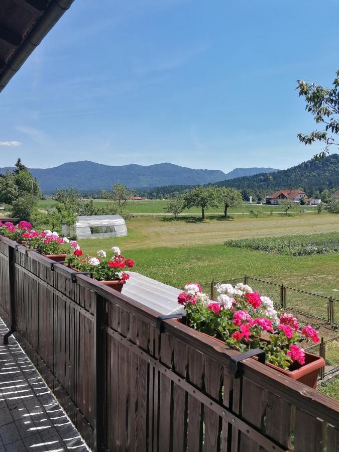 Apartments Novak Ljubno Eksteriør bilde