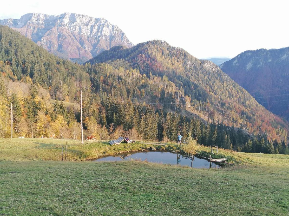 Apartments Novak Ljubno Eksteriør bilde
