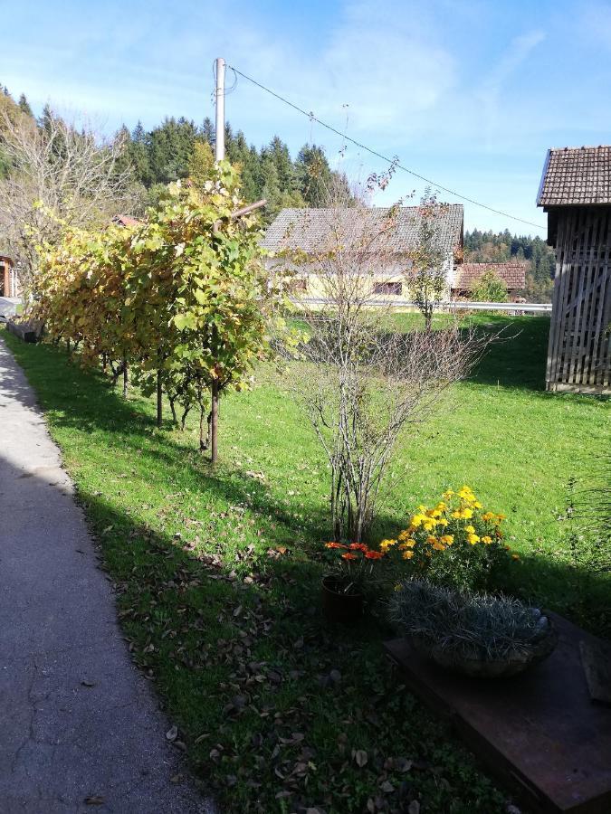 Apartments Novak Ljubno Eksteriør bilde